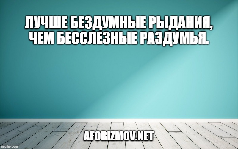 Лучше бездумные рыдания, чем бесслезные раздумья.