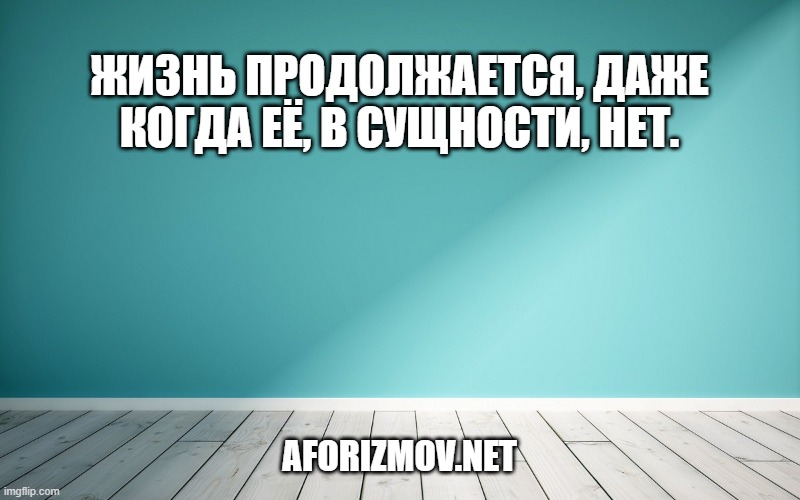 Жизнь продолжается, даже когда её, в сущности, нет.