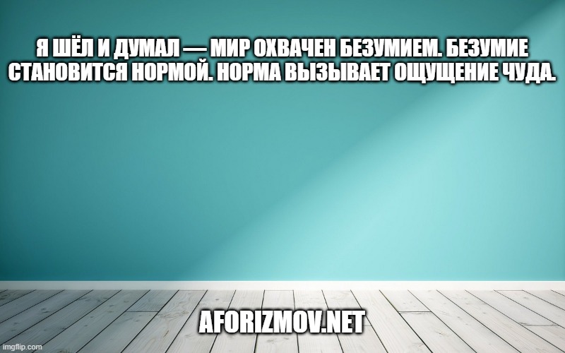 Я шёл и думал — мир охвачен безумием. Безумие становится нормой. Норма вызывает ощущение чуда.