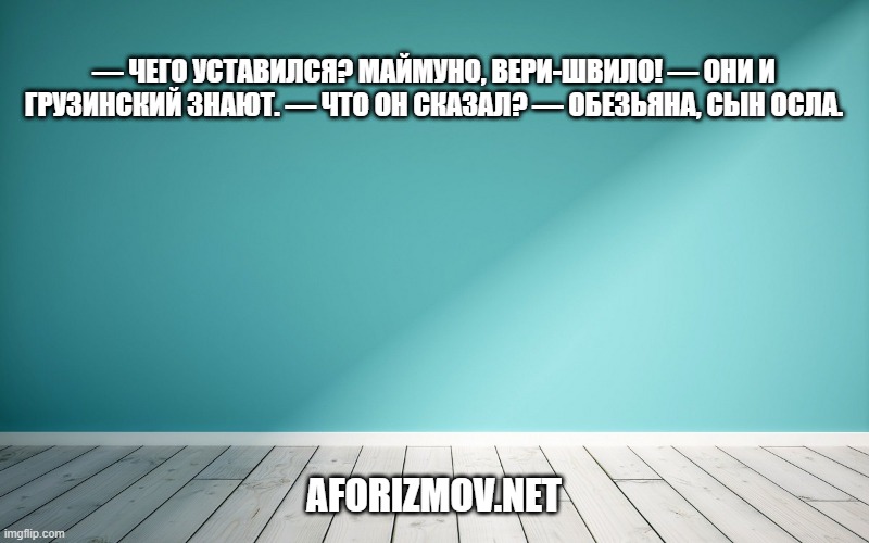 — Чего уставился? Маймуно, вери-швило! — Они и грузинский знают. — Что он сказал? — Обезьяна, сын осла.