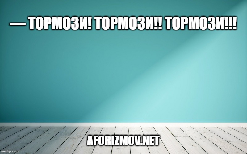— Тормози! Тормози!! Тормози!!!
