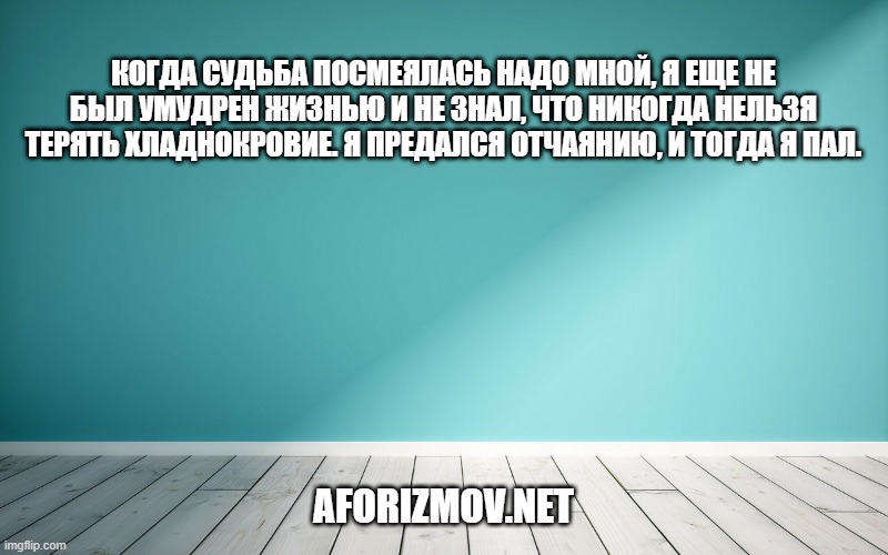 Когда судьба посмеялась надо мной, я еще не был умудрен жизнью и не знал, что никогда нельзя терять хладнокровие. Я предался отчаянию, и тогда я пал.