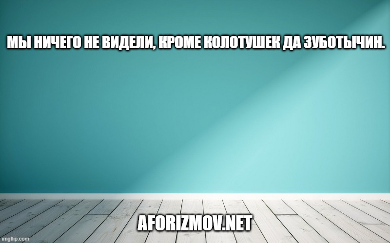 Мы ничего не видели, кроме колотушек да зуботычин.