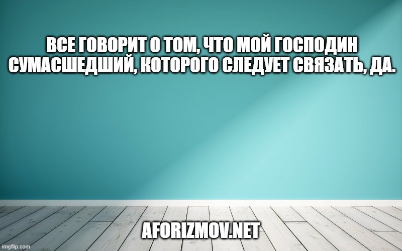 Все говорит о том, что мой господин сумасшедший, которого следует связать, да.