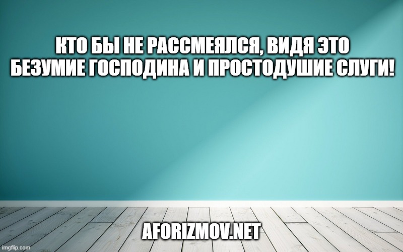 Кто бы не рассмеялся, видя это безумие господина и простодушие слуги!