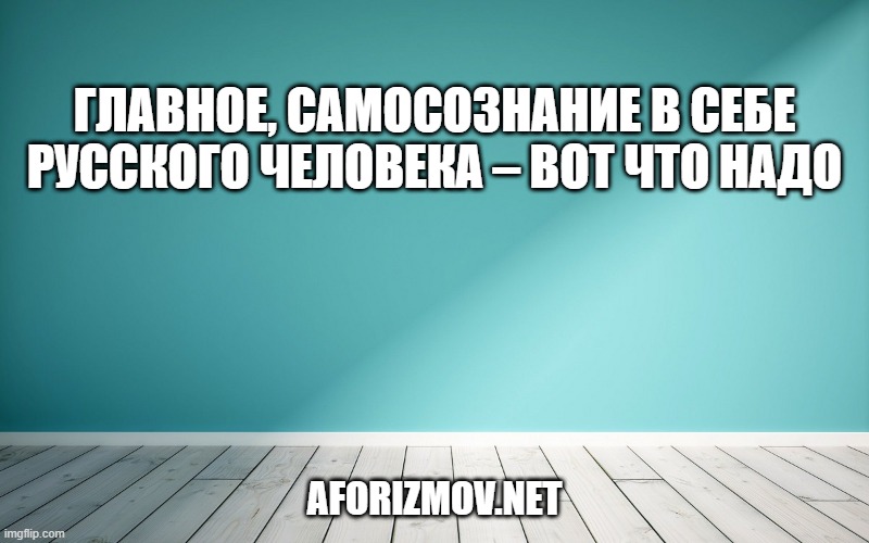 Главное, самосознание в себе русского человека – вот что надо