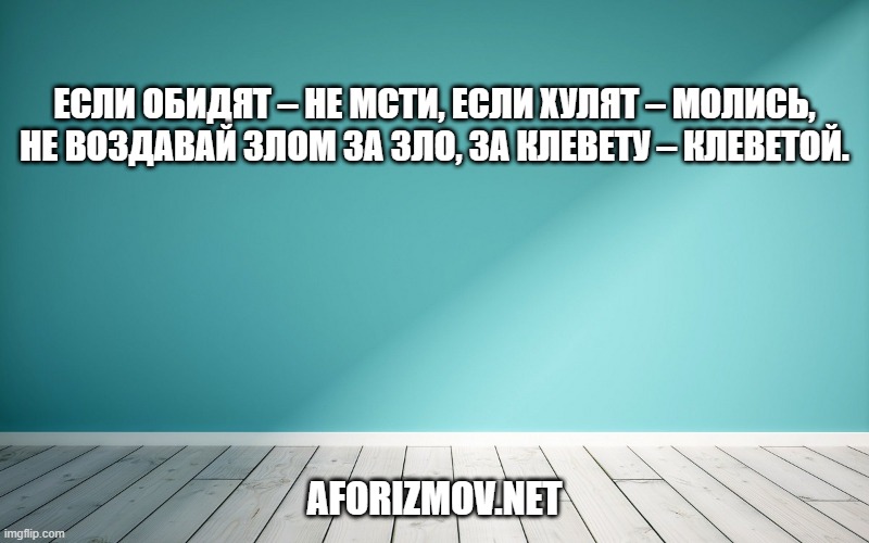 Если обидят – не мсти, если хулят – молись, не воздавай злом за зло, за клевету – клеветой.
