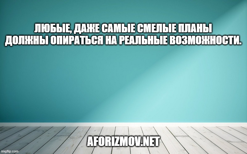 Любые, даже самые смелые планы должны опираться на реальные возможности.