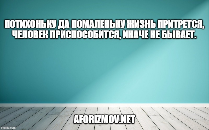 Потихоньку да помаленьку жизнь притрется, человек приспособится, иначе не бывает.