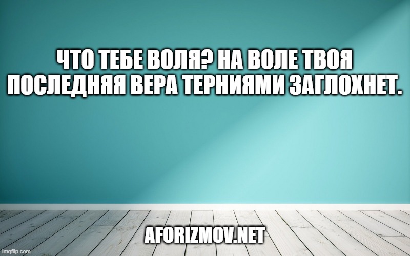 Что тебе воля? На воле твоя последняя вера терниями заглохнет.