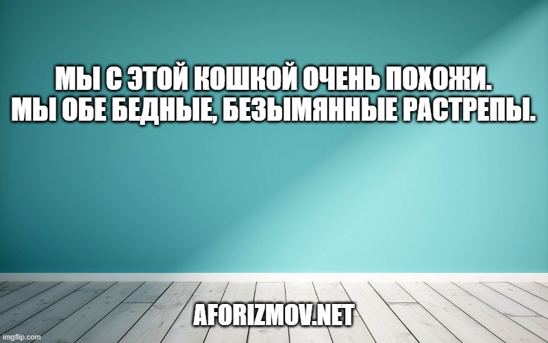 Мы с этой кошкой очень похожи. Мы обе бедные, безымянные растрепы.