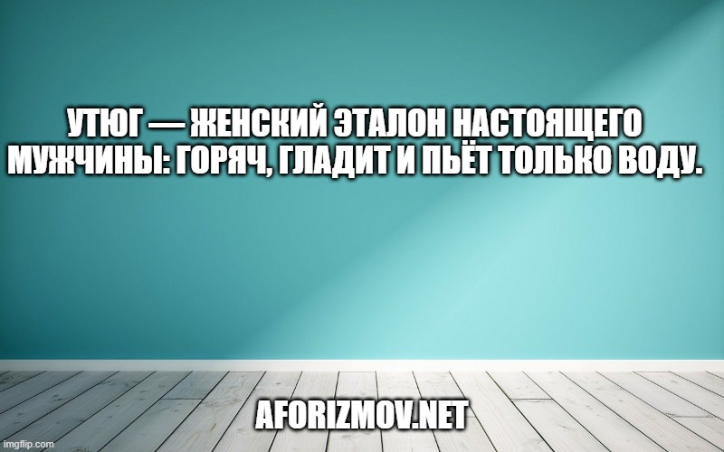 Утюг — женский эталон настоящего мужчины: горяч, гладит и пьёт только воду.