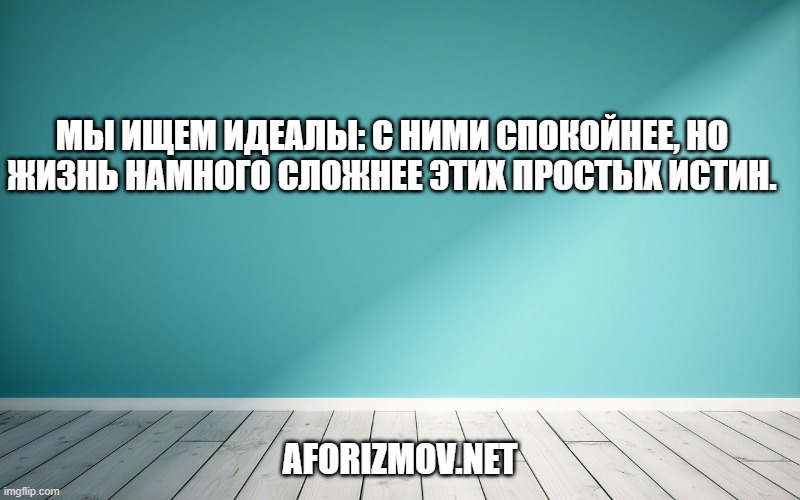 Мы ищем идеалы: с ними спокойнее, но жизнь намного сложнее этих простых истин.