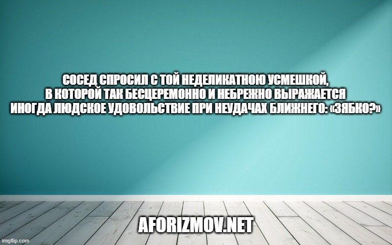 Сосед спросил с той неделикатною усмешкой, в которой так бесцеремонно и небрежно выражается иногда людское удовольствие при неудачах ближнего: «Зябко?»