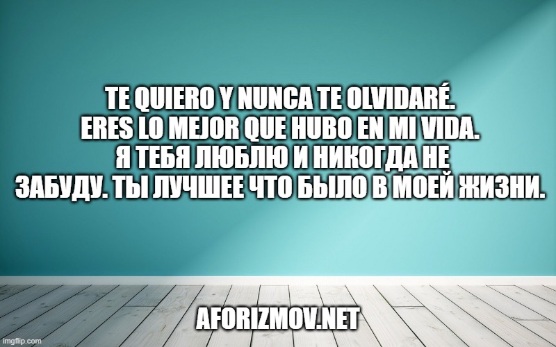 Te quiero y nunca te olvidaré. Eres lo mejor que hubo en mi vida. Я тебя люблю и никогда не забуду.Ты лучшее что было в моей жизни.