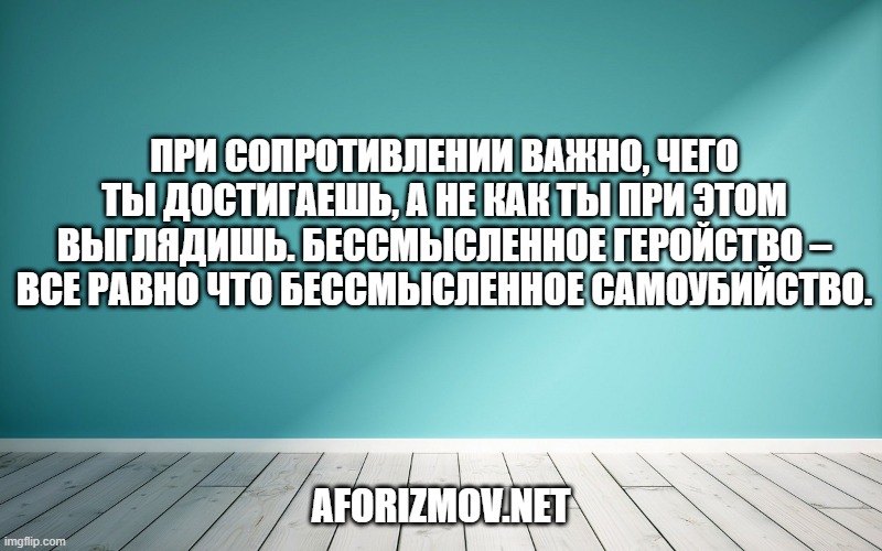 При сопротивлении важно, чего ты достигаешь, а не как ты при этом выглядишь. Бессмысленное геройство – все равно что бессмысленное самоубийство.