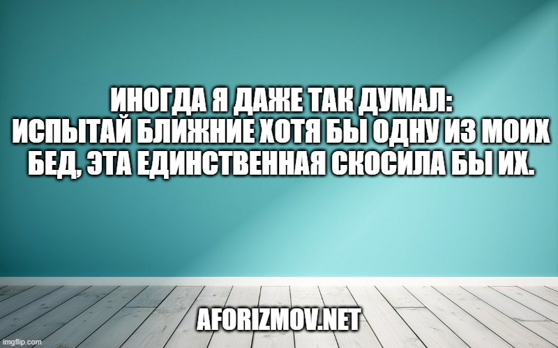 Иногда я даже так думал: испытай ближние хотя бы одну из моих бед, эта единственная скосила бы их.