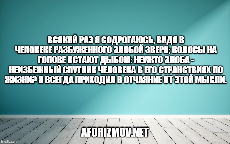 Всякий раз я содрогаюсь, видя в человеке разбуженного злобой зверя; волосы на голове встают дыбом: неужто злоба - неизбежный спутник человека в его странствиях по жизни? Я всегда приходил в отчаяние от этой мысли.