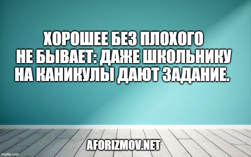 Хорошее без плохого не бывает: даже школьнику на каникулы дают задание. 
