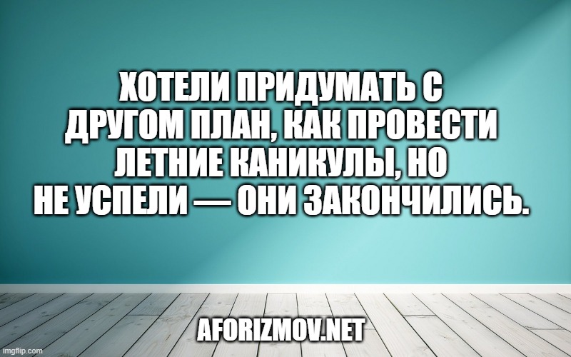 Хотели придумать с другом план, как провести летние каникулы, но не успели — они закончились.