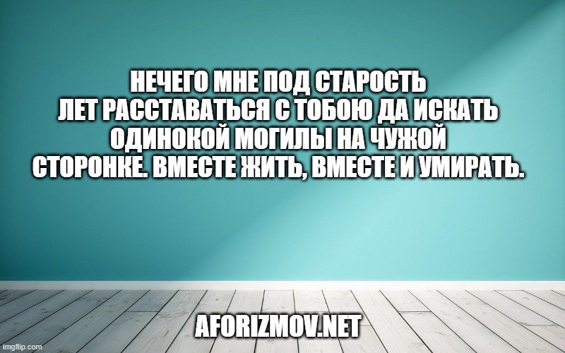Нечего мне под старость лет расставаться с тобою да искать одинокой могилы на чужой сторонке. Вместе жить, вместе и умирать.