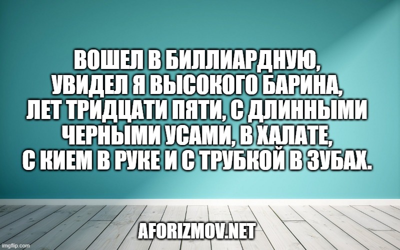 Вошел в биллиардную, увидел я высокого барина, лет тридцати пяти, с длинными черными усами, в халате, с кием в руке и с трубкой в зубах.