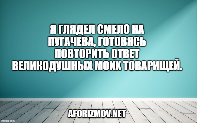Я глядел смело на Пугачева, готовясь повторить ответ великодушных моих товарищей.