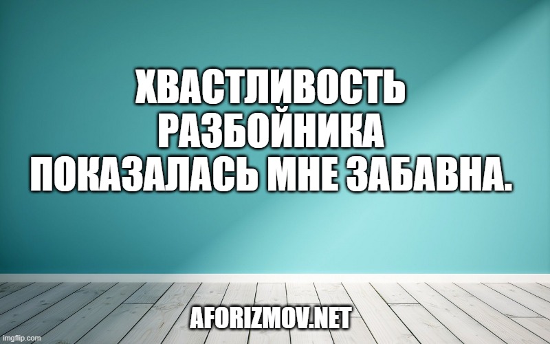 Хвастливость разбойника показалась мне забавна.