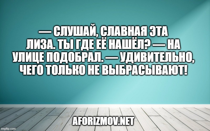 — Слушай, славная эта Лиза. Ты где её нашёл? — На улице подобрал. — Удивительно, чего только не выбрасывают!