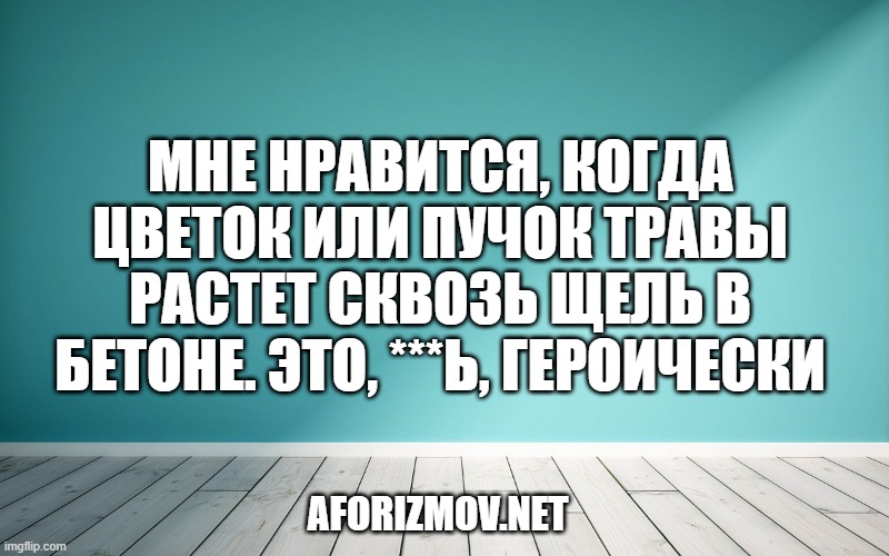 Мне нравится, когда цветок или пучок травы растет сквозь щель в бетоне. Это, ***ь, героически
