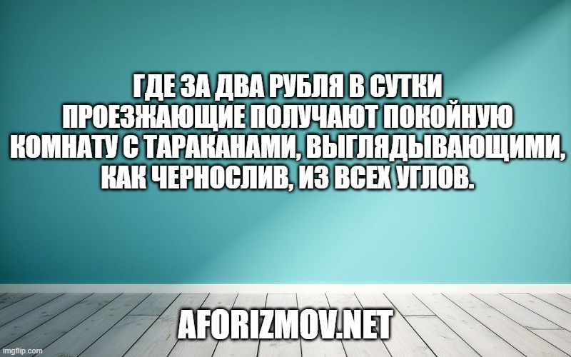 Где за два рубля в сутки проезжающие получают покойную комнату с тараканами, выглядывающими, как чернослив, из всех углов.