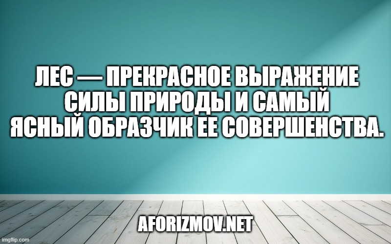 Лес — прекрасное выражение силы природы и самый ясный образчик ее совершенства.