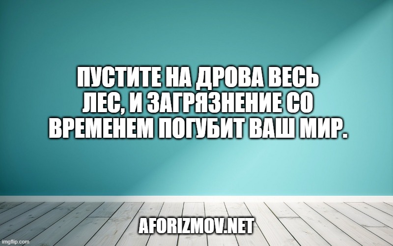 Пустите на дрова весь лес, и загрязнение со временем погубит ваш мир.