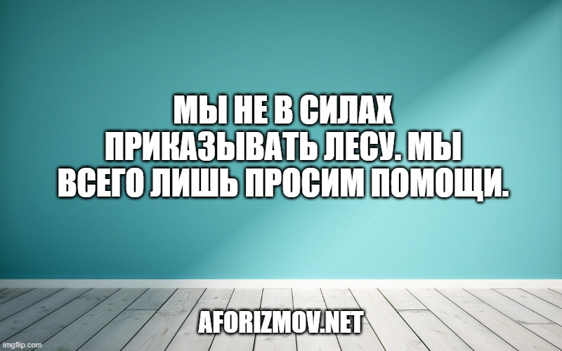 Мы не в силах приказывать лесу. Мы всего лишь просим помощи.