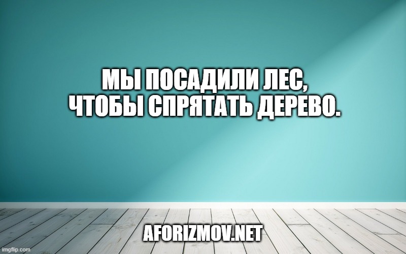 Мы посадили лес, чтобы спрятать дерево.