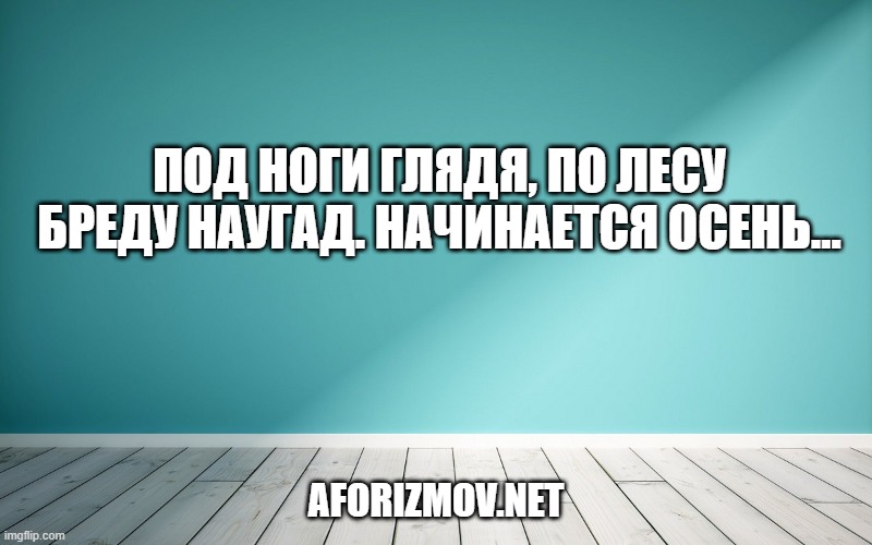 Под ноги глядя, по лесу бреду наугад. Начинается осень...