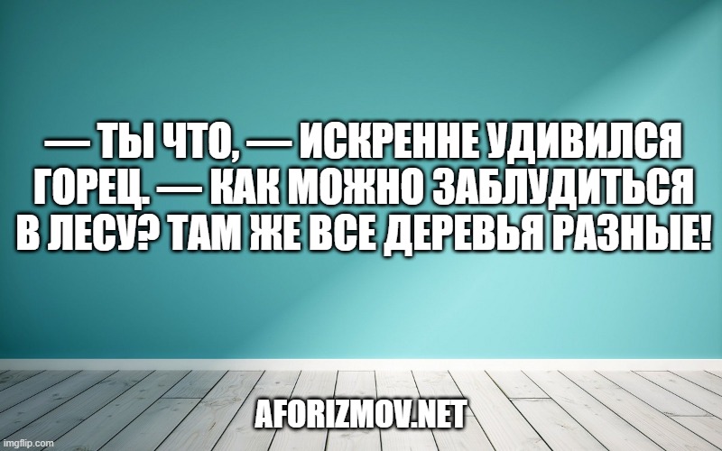 — Ты что, — искренне удивился горец. — Как можно заблудиться в лесу? Там же все деревья разные!