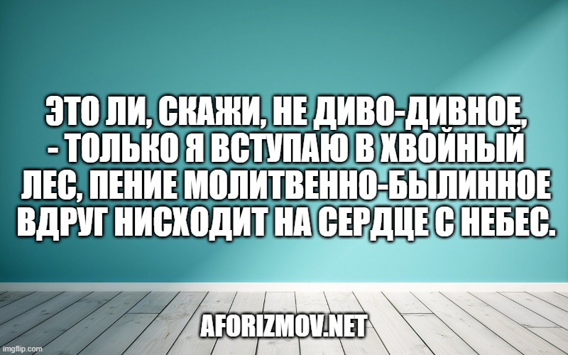 Это ли, скажи, не диво-дивное, - Только я вступаю в хвойный лес, Пение молитвенно-былинное Вдруг нисходит на сердце с небес.