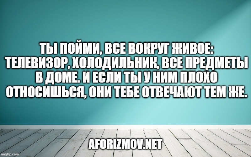 Ты пойми, все вокруг живое: телевизор, холодильник, все предметы в доме. И если ты у ним плохо относишься, они тебе отвечают тем же.