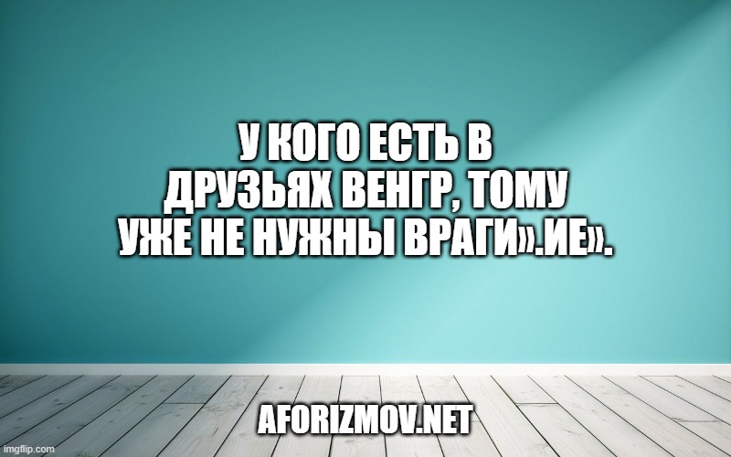 У кого есть в друзьях венгр, тому уже не нужны враги».