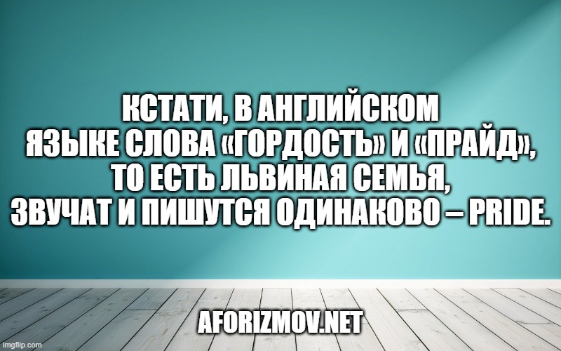 Кстати, в английском языке слова «гордость» и «прайд», то есть львиная семья, звучат и пишутся одинаково – pride.