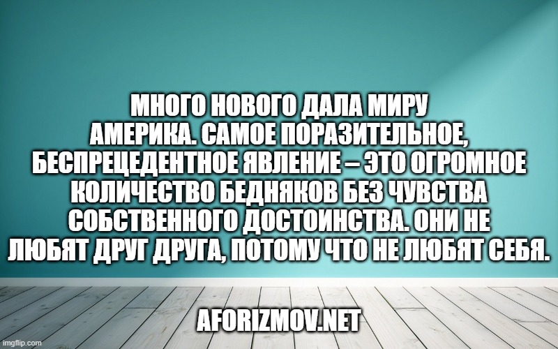 Много нового дала миру Америка. Самое поразительное, беспрецедентное явление – это огромное количество бедняков без чувства собственного достоинства. Они не любят друг друга, потому что не любят себя.