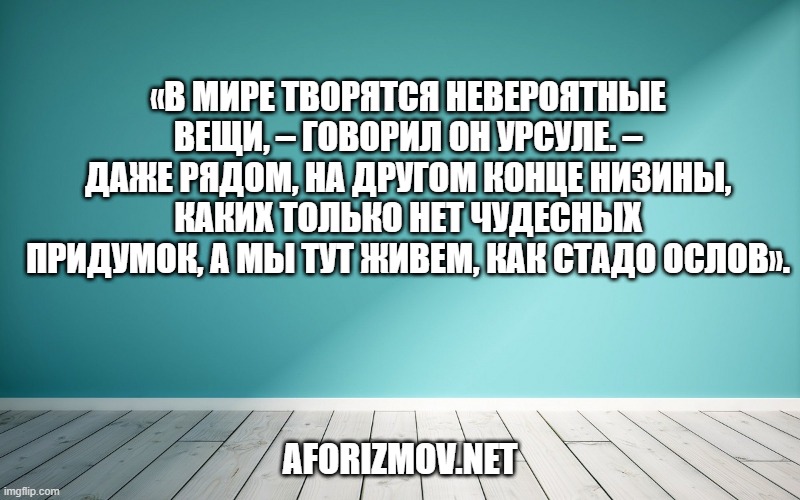 «В мире творятся невероятные вещи, – говорил он Урсуле. – Даже рядом, на другом конце низины, каких только нет чудесных придумок, а мы тут живем, как стадо ослов».