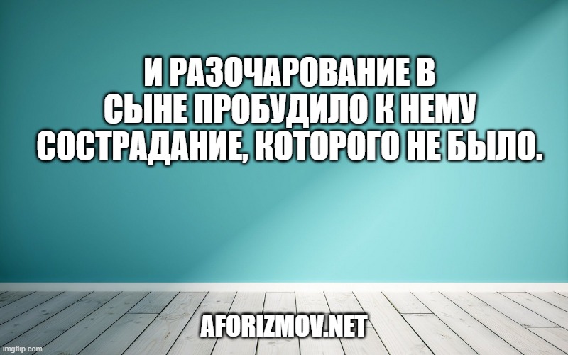 И разочарование в сыне пробудило к нему сострадание, которого не было.