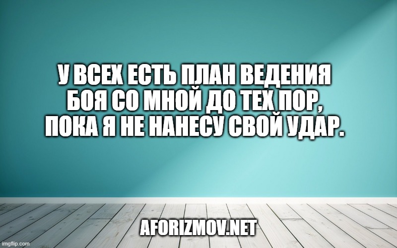 У всех есть план ведения боя со мной до тех пор, пока я не нанесу свой удар.
