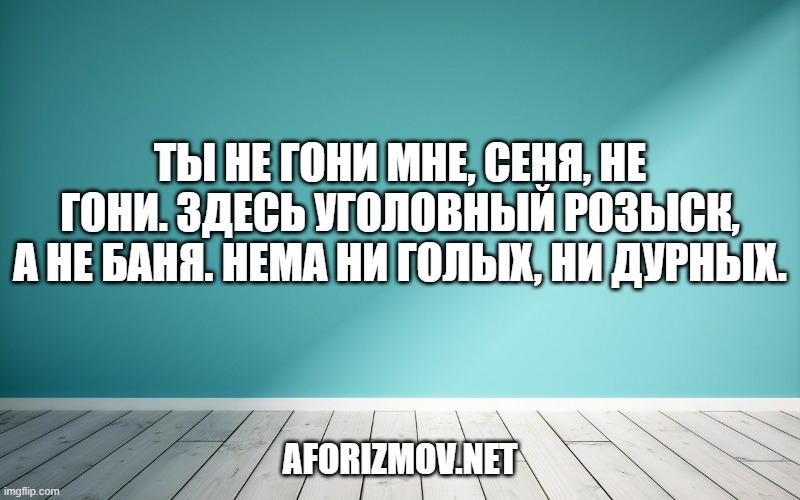 Ты не гони мне, Сеня, не гони. Здесь Уголовный розыск, а не баня. Нема ни голых, ни дурных.