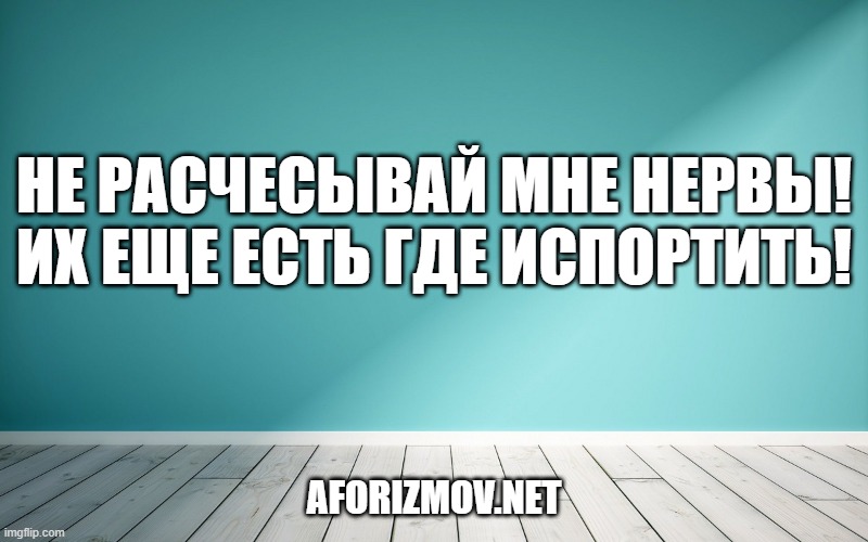 Не расчесывай мне нервы! Их еще есть где испортить!