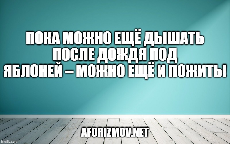 Пока можно ещё дышать после дождя под яблоней – можно ещё и пожить!