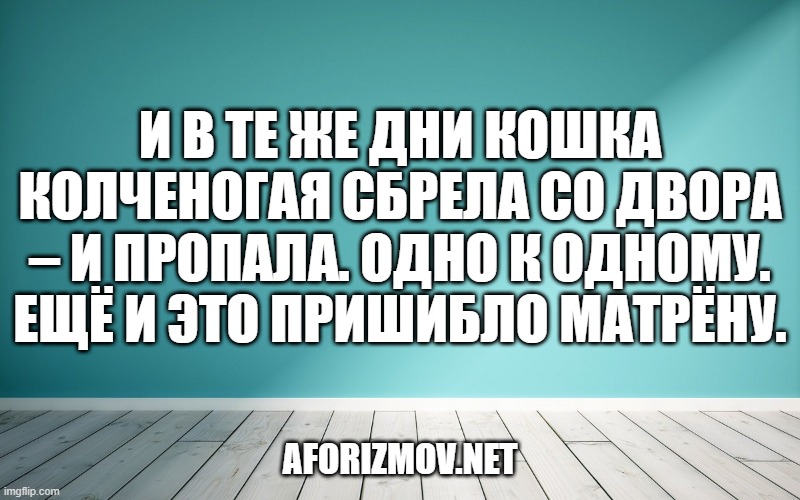 И в те же дни кошка колченогая сбрела со двора – и пропала. Одно к одному. Ещё и это пришибло Матрёну.