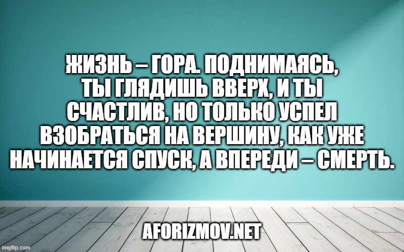 Жизнь – гора. Поднимаясь, ты глядишь вверх, и ты счастлив, но только успел взобраться на вершину, как уже начинается спуск, а впереди – смерть.
